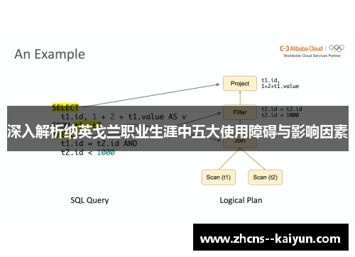 深入解析纳英戈兰职业生涯中五大使用障碍与影响因素